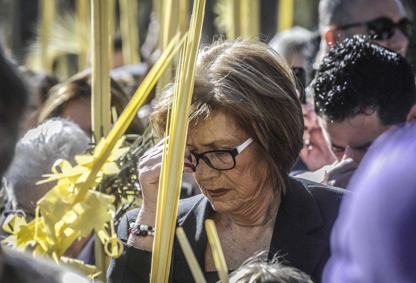 Procesión de Domingo de Ramos en Elche