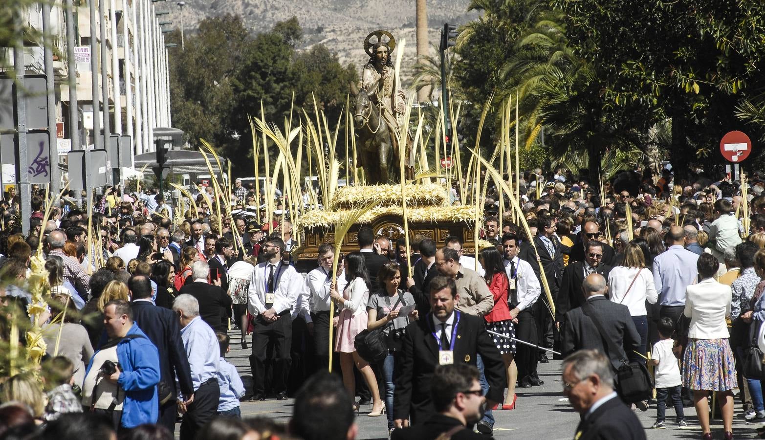 Procesión de Domingo de Ramos en Elche