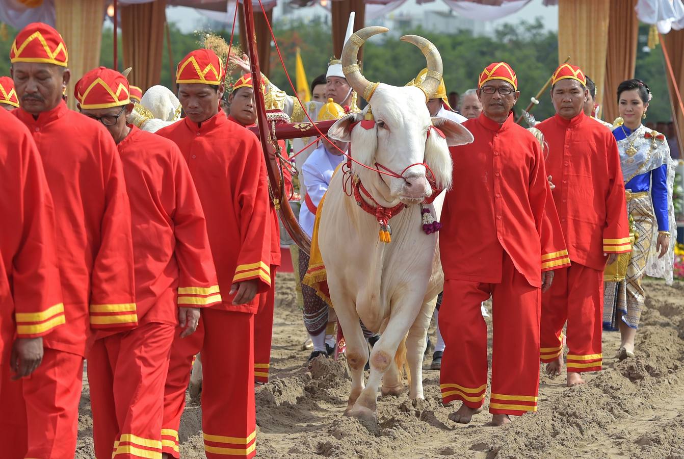 El arroz de la suerte