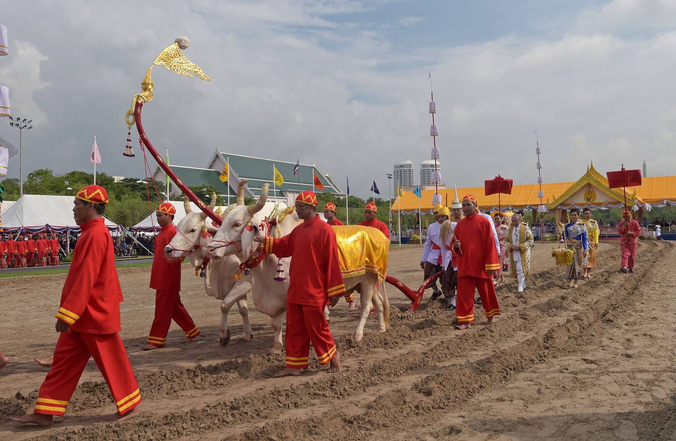 El arroz de la suerte