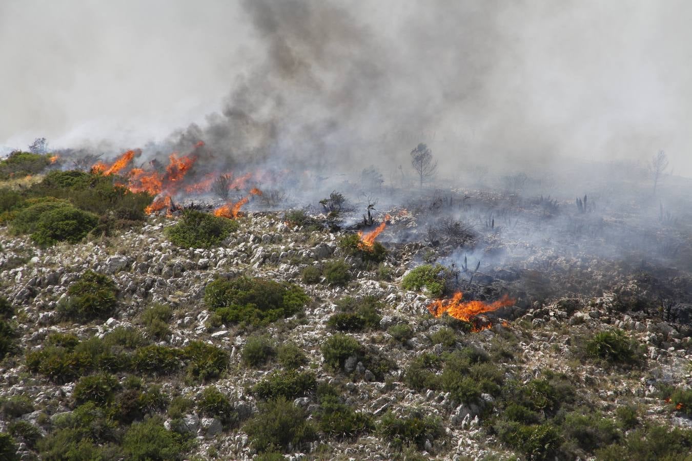 Incendio en La Vall d&#039; Ebo