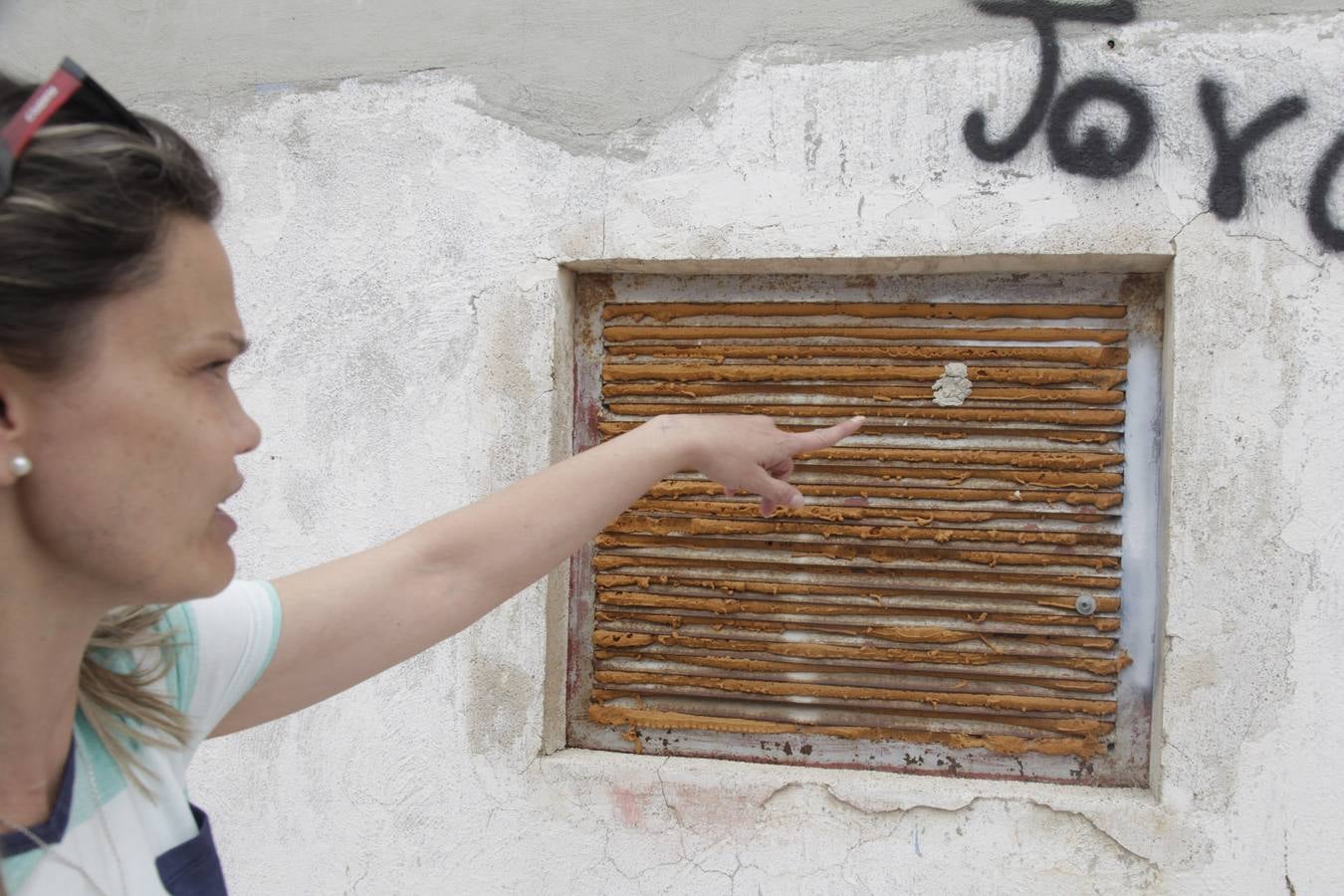 Invasión de mosquitos en Campos del Río
