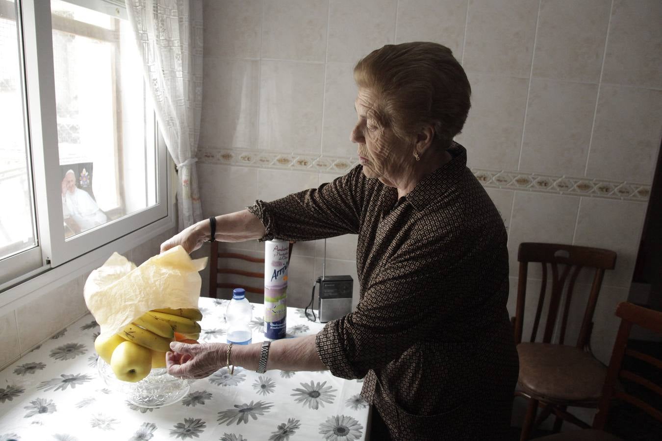Invasión de mosquitos en Campos del Río