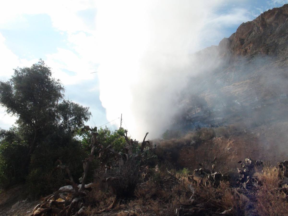 Un incendio calcina casi cuatro hectáreas de monte en Orihuela