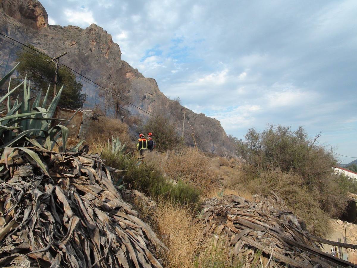 Un incendio calcina casi cuatro hectáreas de monte en Orihuela