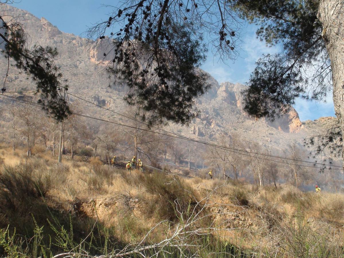 Un incendio calcina casi cuatro hectáreas de monte en Orihuela