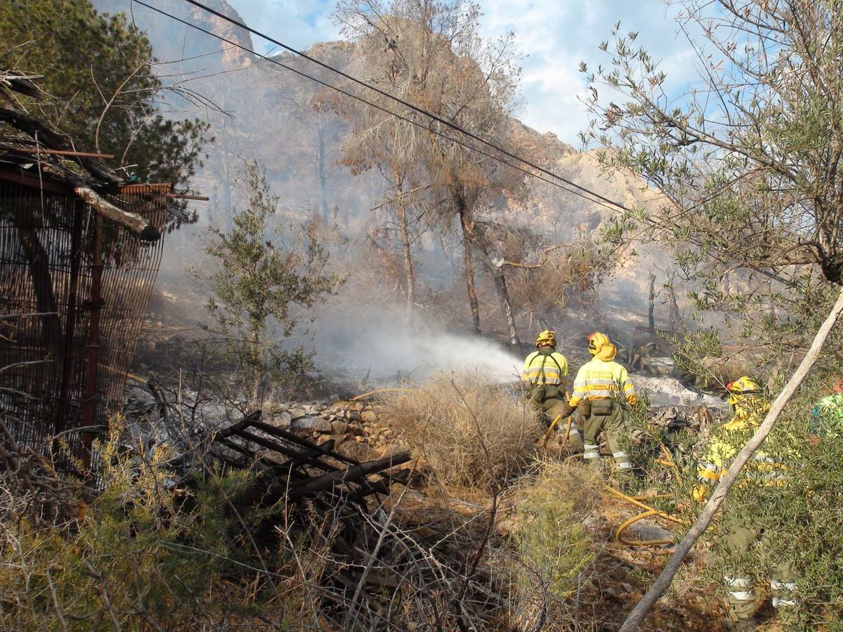 Un incendio calcina casi cuatro hectáreas de monte en Orihuela