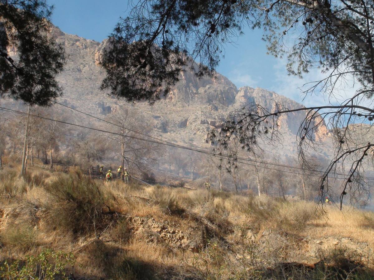 Un incendio calcina casi cuatro hectáreas de monte en Orihuela