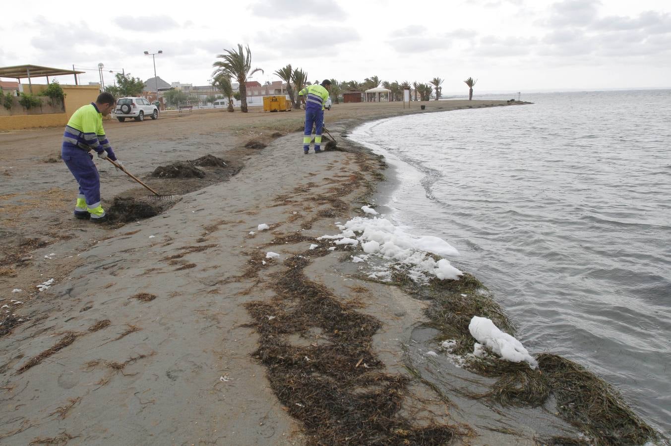 (28-05) Los vecinos de los Urrutias llegan a un acuerdo para la limpieza de sus playas, que ya está efectuándose estos días. Los vecinos, el Ayuntamiento, la Demarcación de Costas y la Comunidad Autónoma han creado un frente común para limpiar y regenerar las playas de esa zona costera, que estará liderado por el biólogo y catedrático de Ecología de la Universidad de Murcia (UMU) Ángel Pérez-Ruzafa.