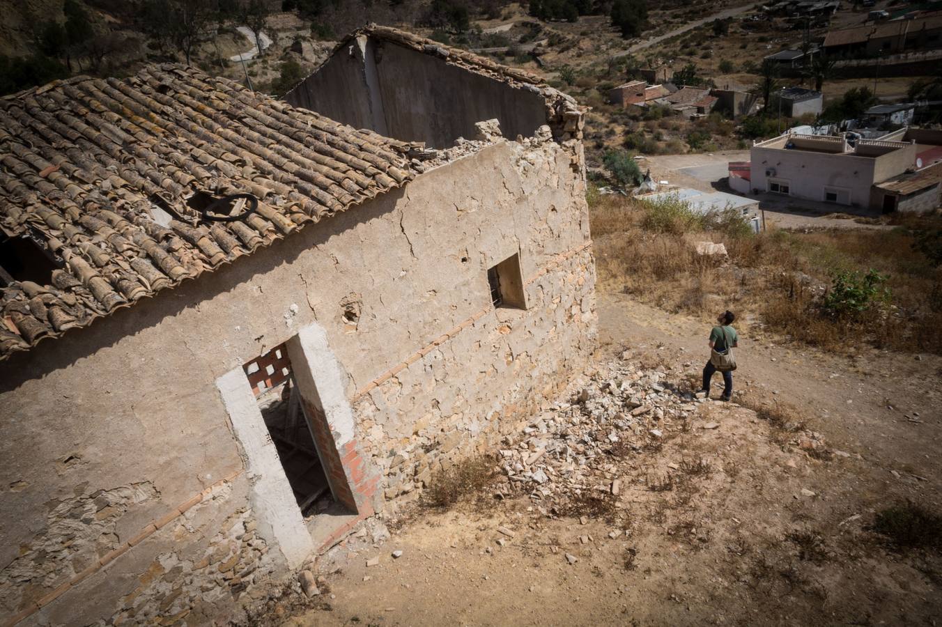 Los pinos del Monte San Miguel no llegan vivos a los 100 días