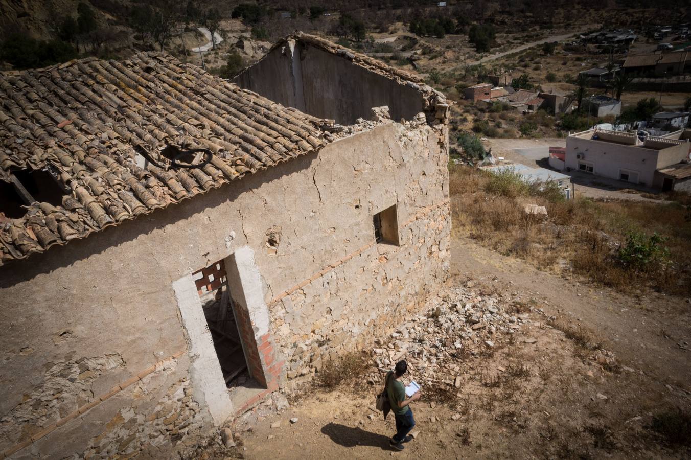 Los pinos del Monte San Miguel no llegan vivos a los 100 días