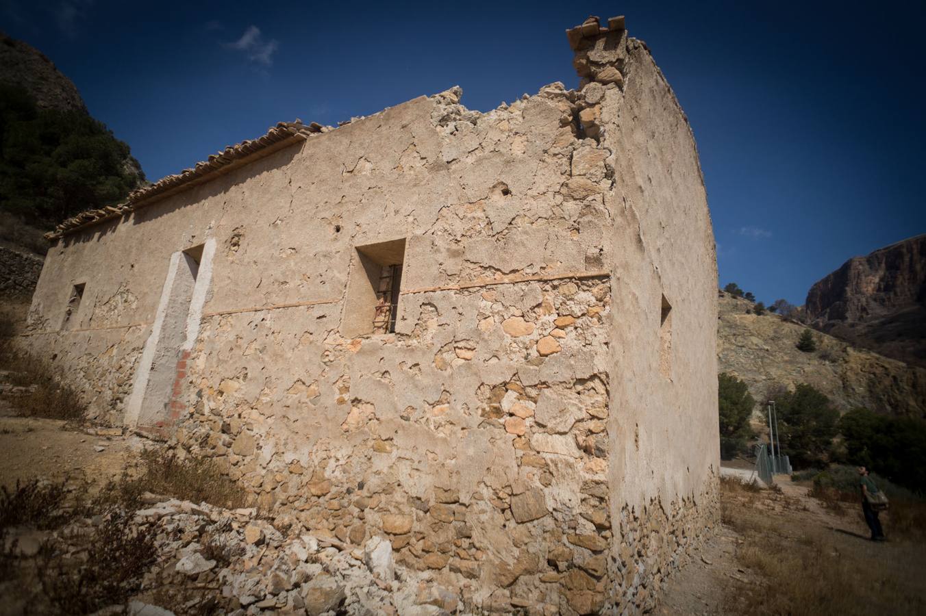 Los pinos del Monte San Miguel no llegan vivos a los 100 días