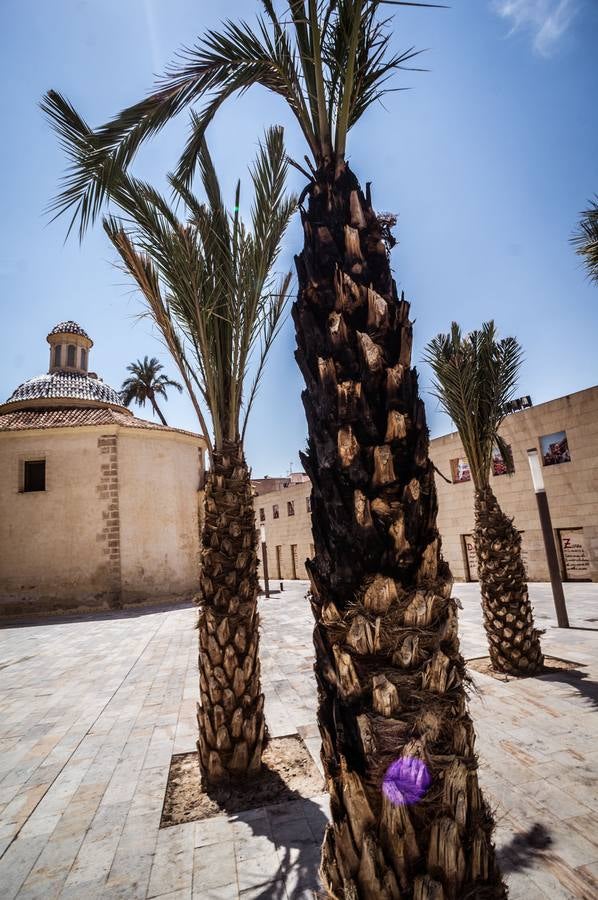 La FMH reclama más vigilancia en el Rincón Hernandiano