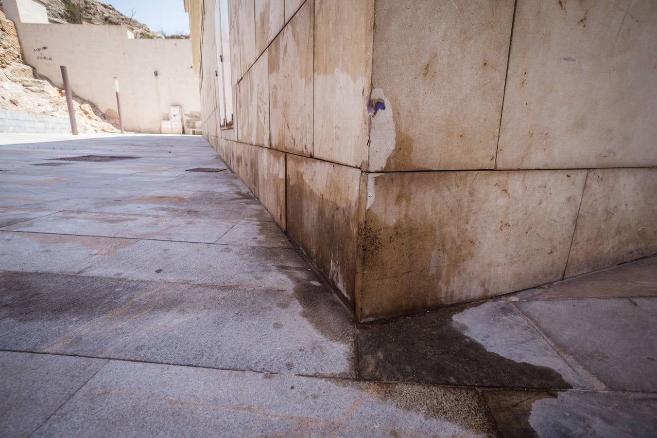 La FMH reclama más vigilancia en el Rincón Hernandiano