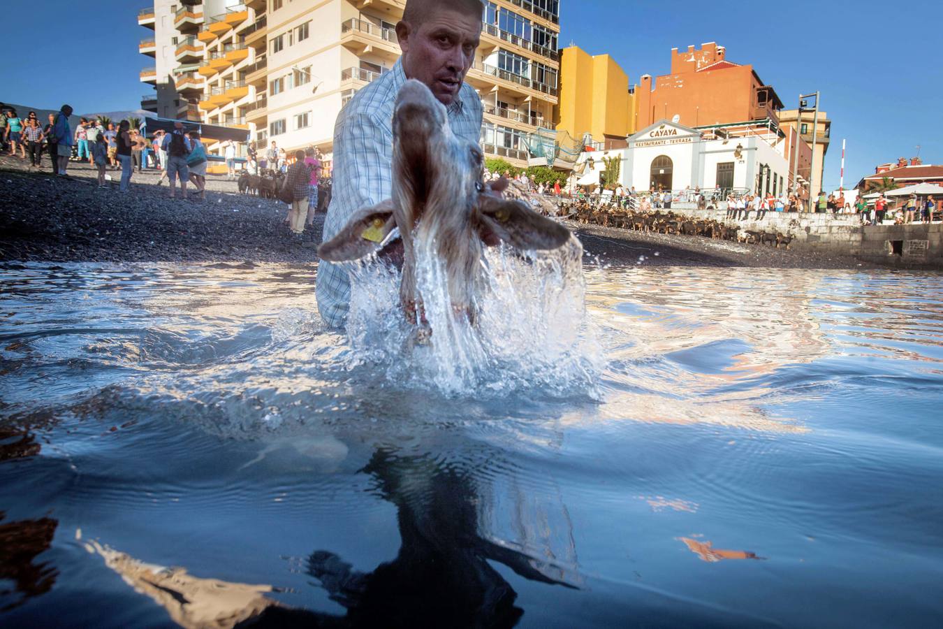 ¡Al agua cabras!