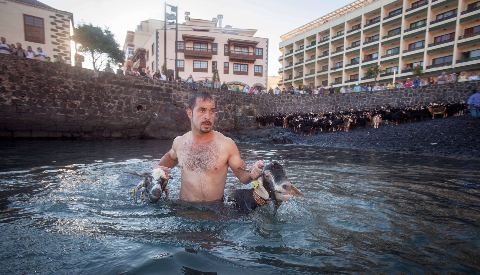 ¡Al agua cabras!