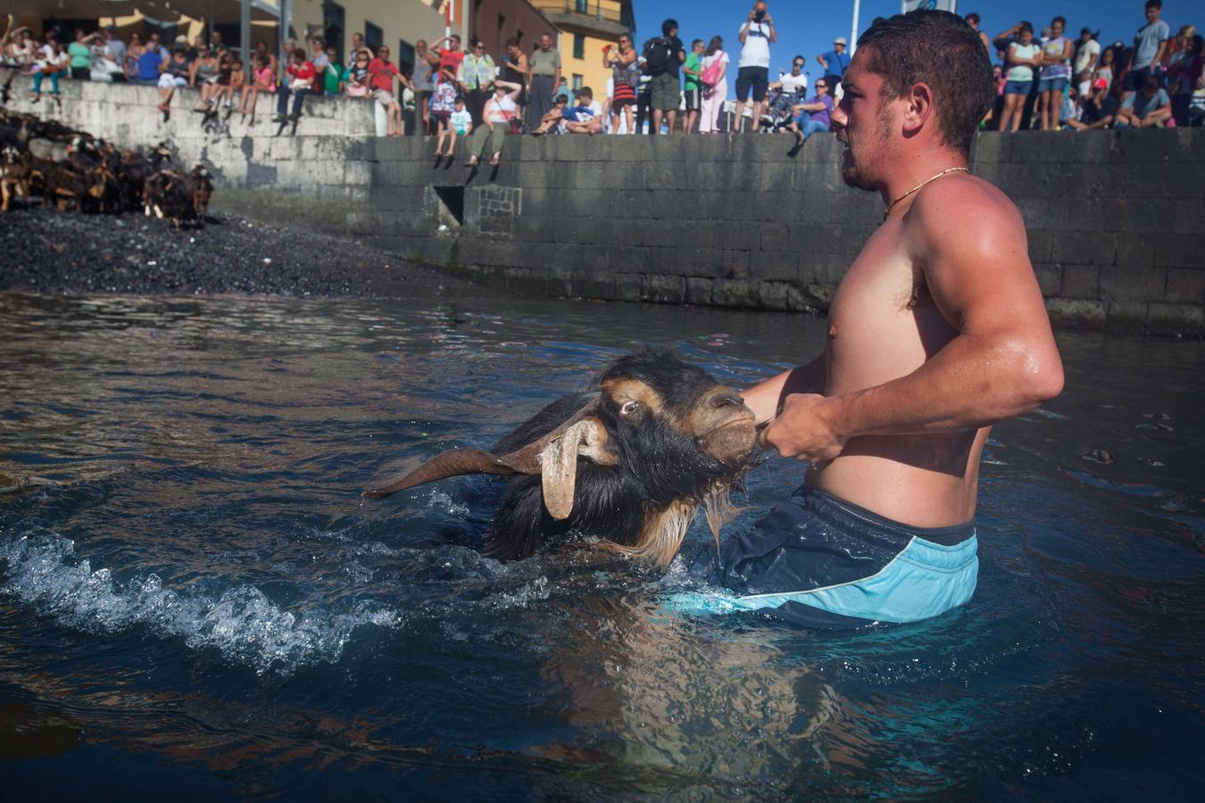 ¡Al agua cabras!