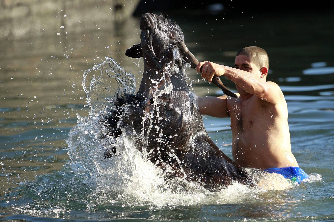 ¡Al agua cabras!