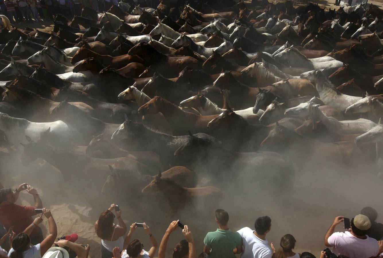 La &#039;Saca de Yeguas&#039; pasa por Doñana