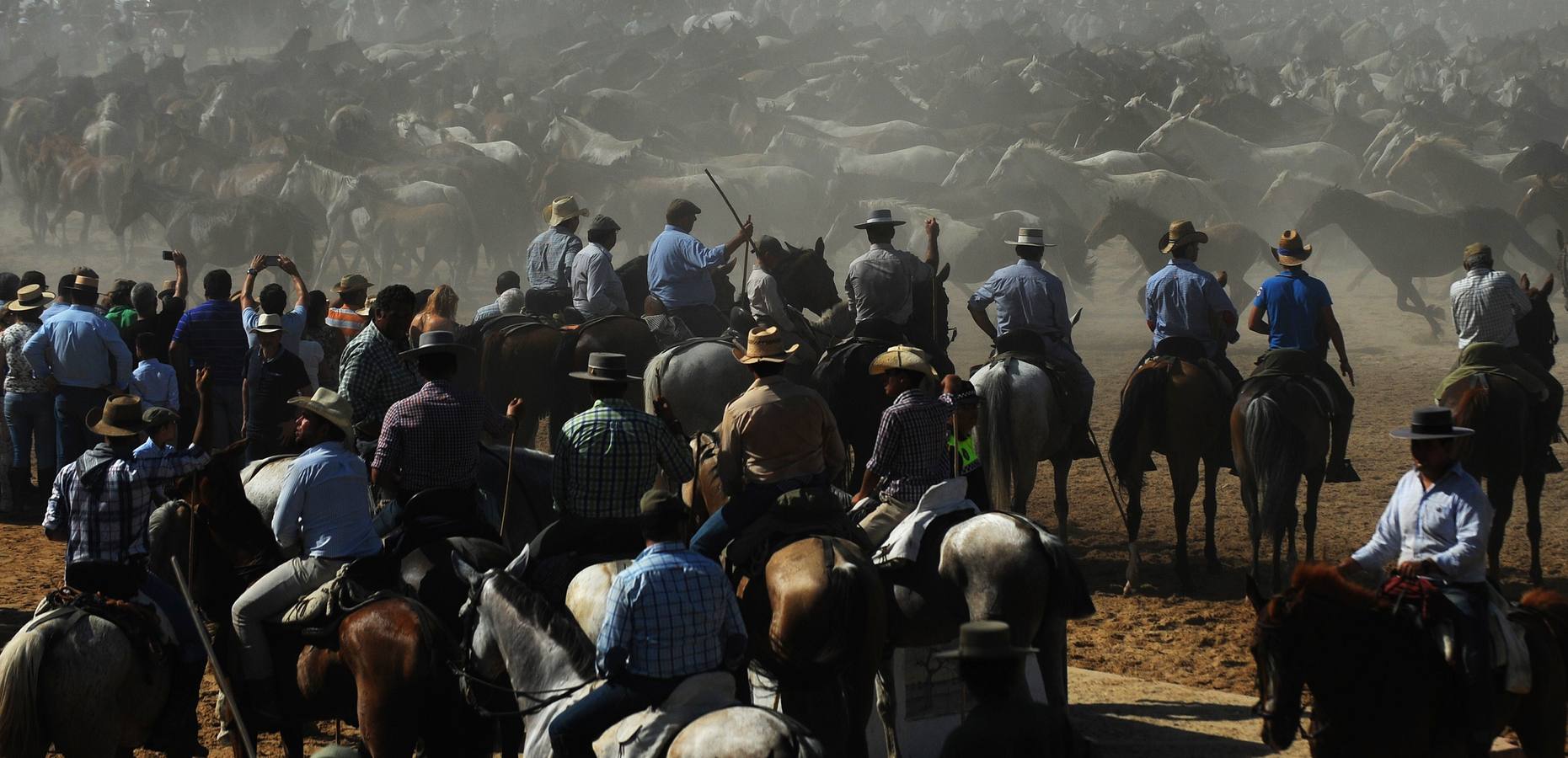 La &#039;Saca de Yeguas&#039; pasa por Doñana