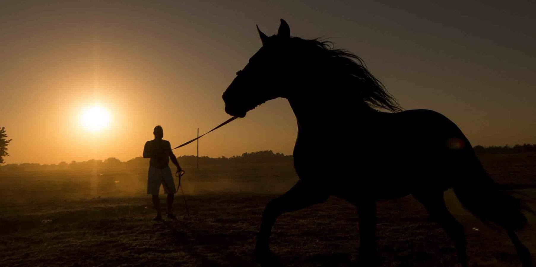 La &#039;Saca de Yeguas&#039; pasa por Doñana