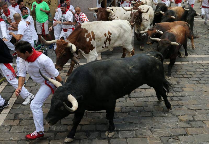 Los mosos son alcanzados por los toros durante el encierro.