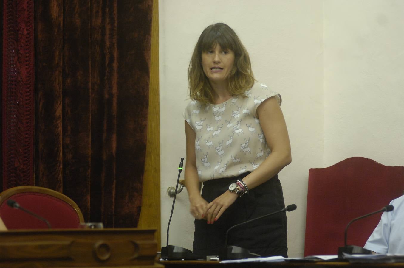 Pleno ordinario del Ayuntamiento de Elche