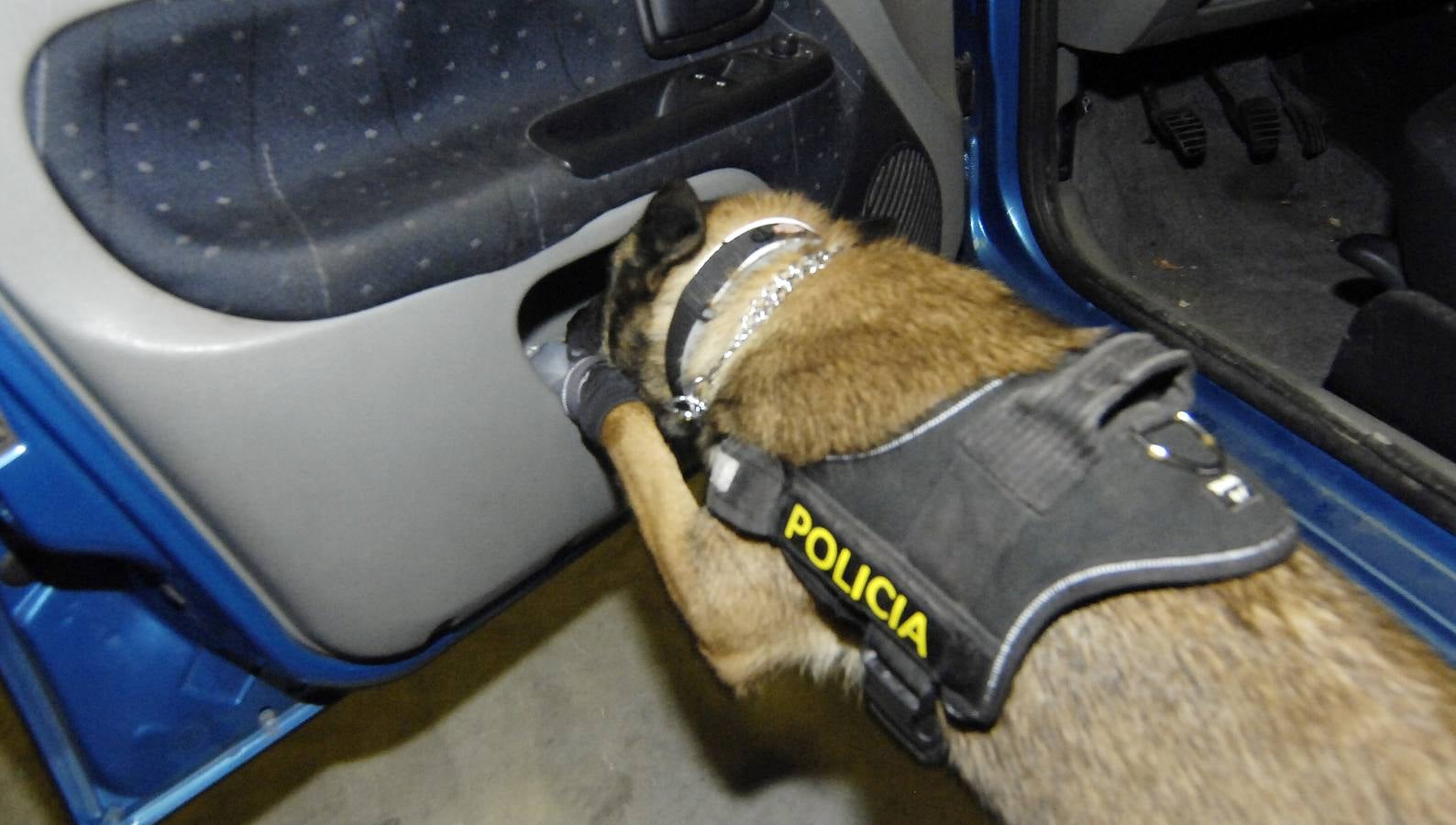 Unidad canina de la Policía Local de Elche