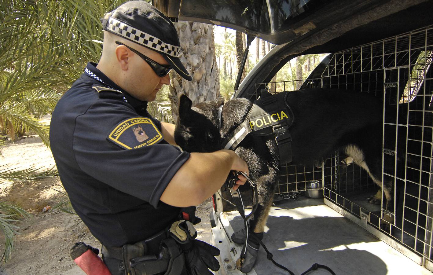 Unidad canina de la Policía Local de Elche