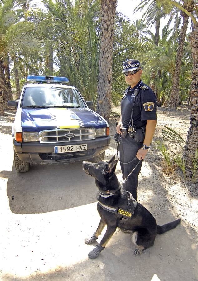 Unidad canina de la Policía Local de Elche