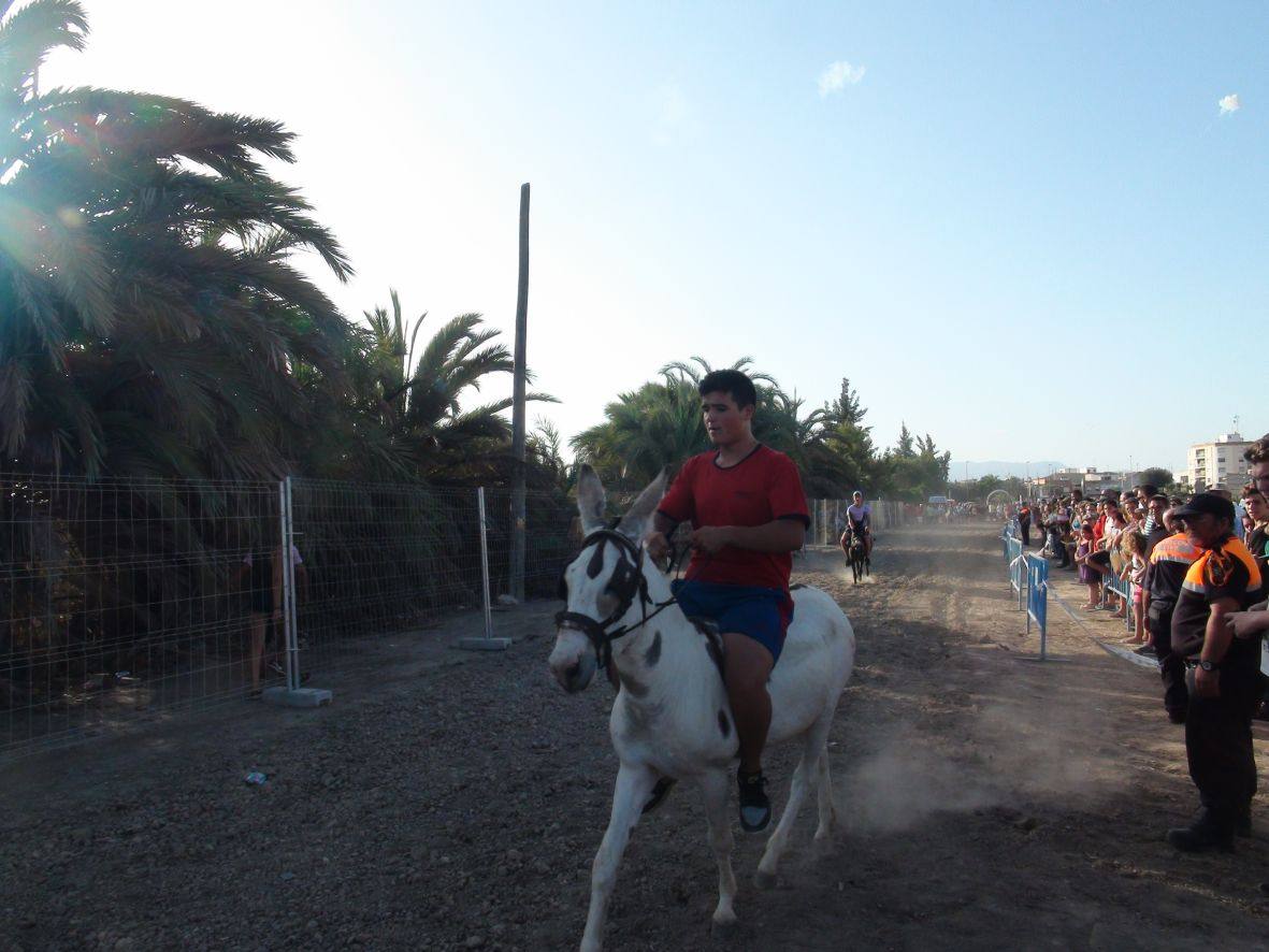Carrera de burros y asnos de Dolores