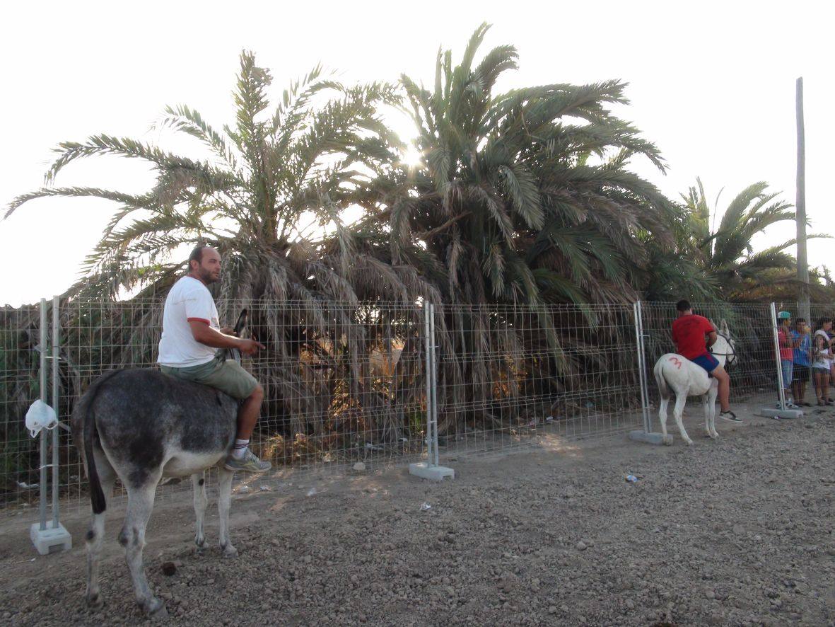 Carrera de burros y asnos de Dolores