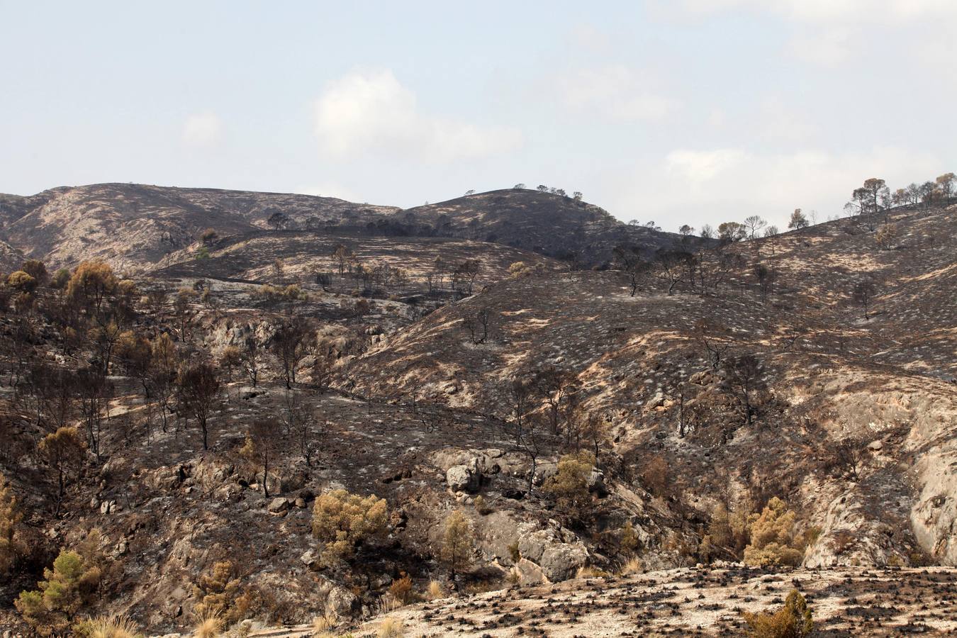 Así ha quedado el Cañón de Almadenes tras el fuego