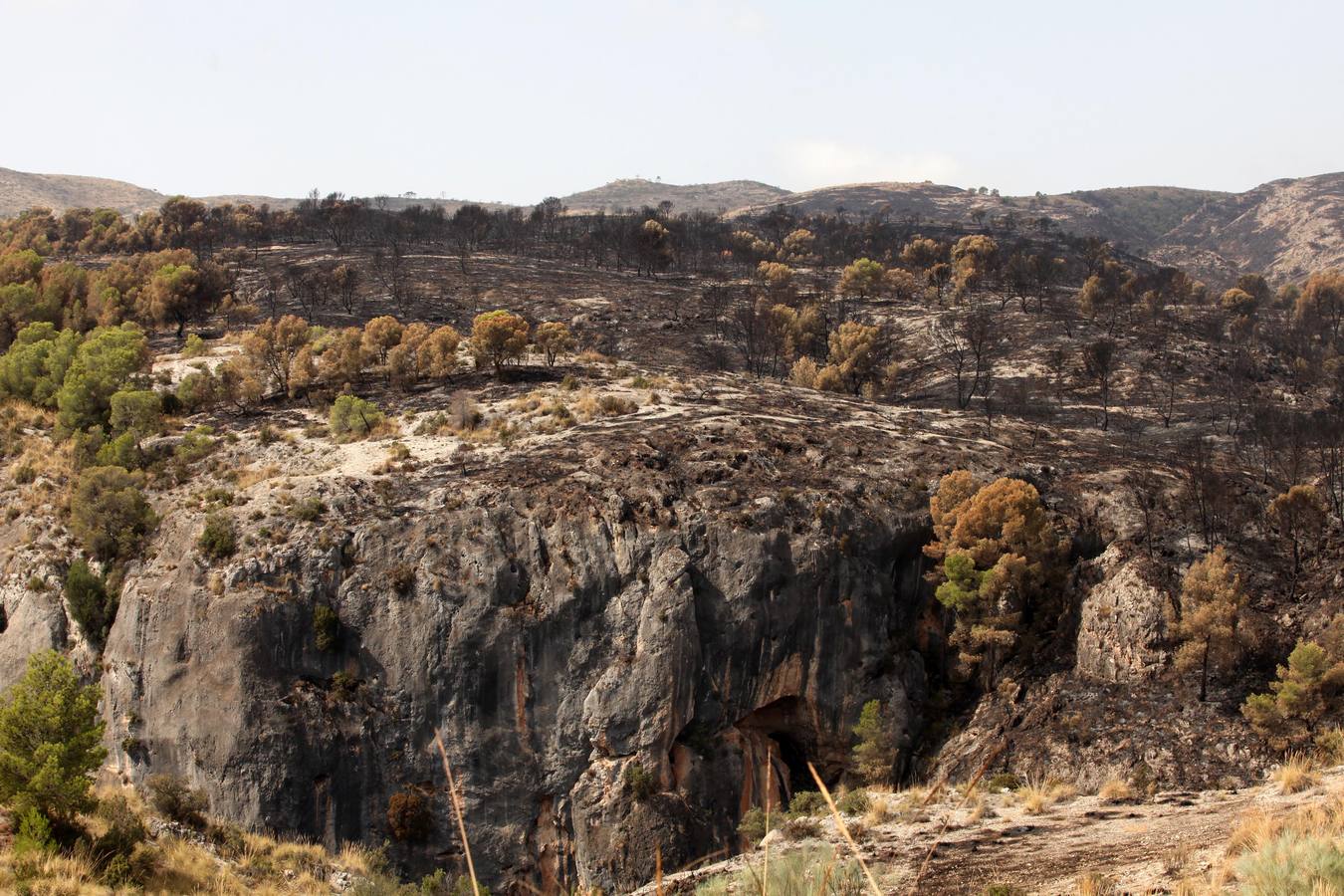 Así ha quedado el Cañón de Almadenes tras el fuego