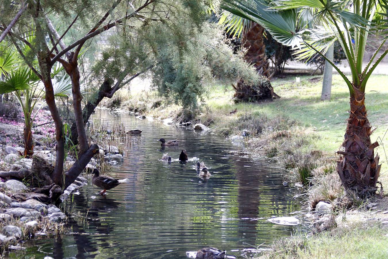 Batallón de limpieza en los parques de Murcia