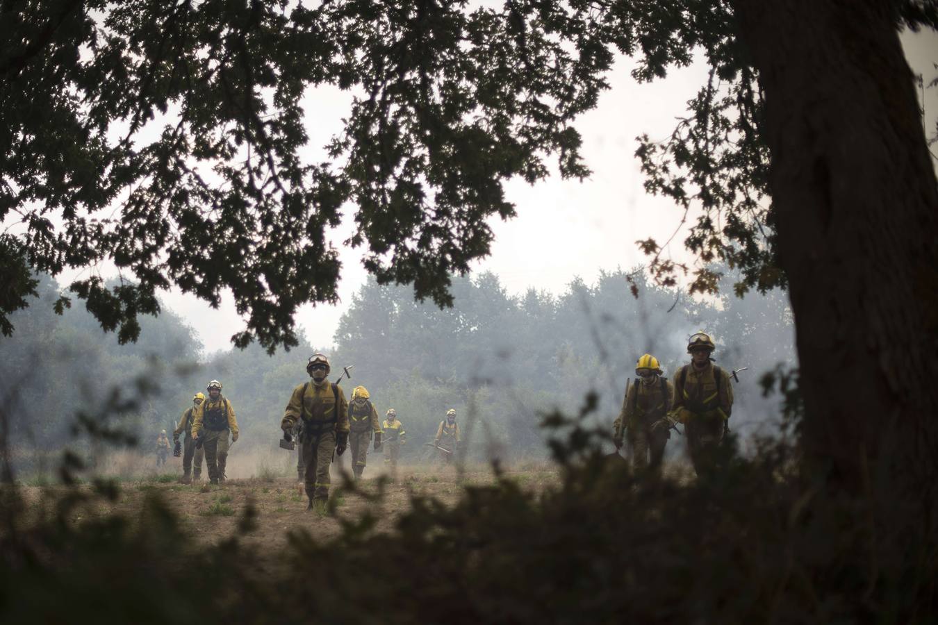Un devastador incendio sacude Orense