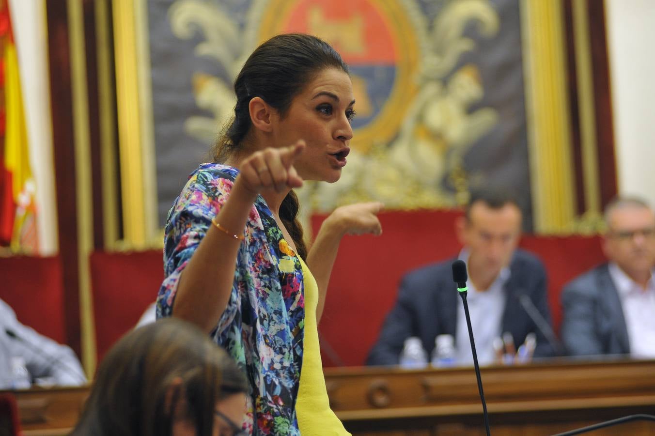 Pleno en el Ayuntamiento de Elche