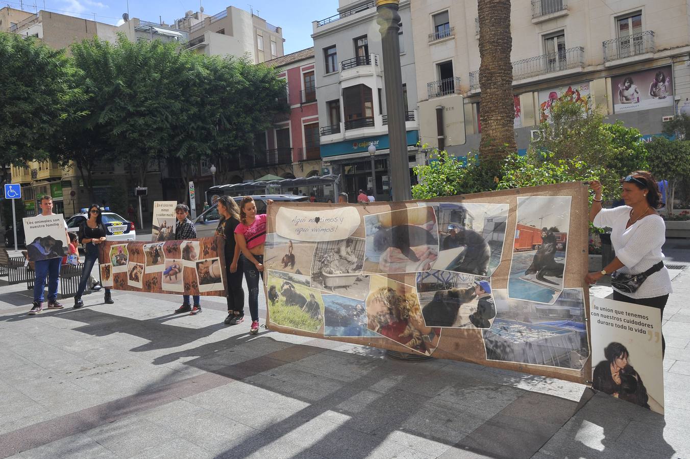 Pleno en el Ayuntamiento de Elche