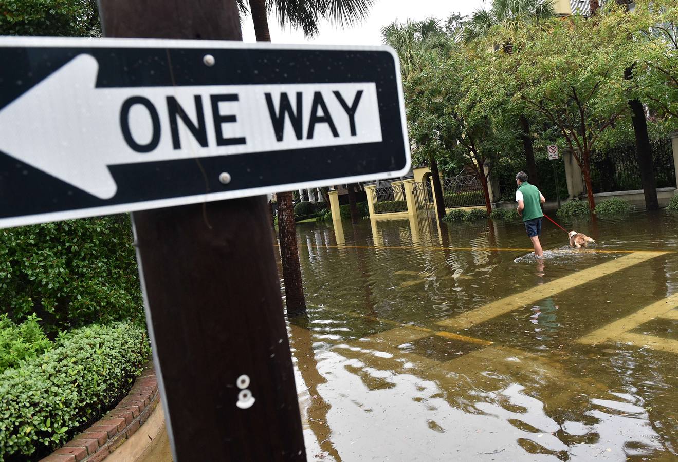 Charleston pasada por agua