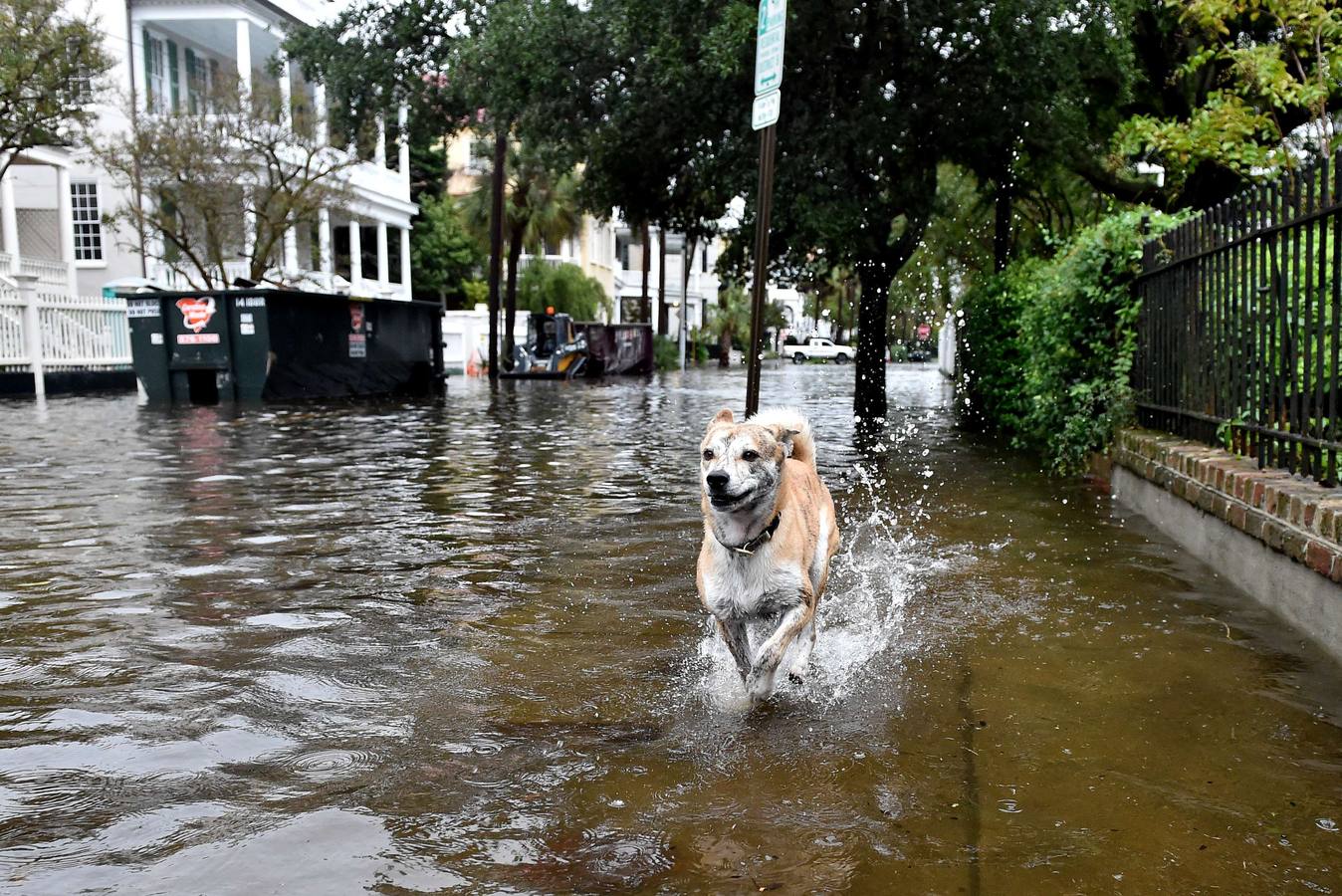 Charleston pasada por agua