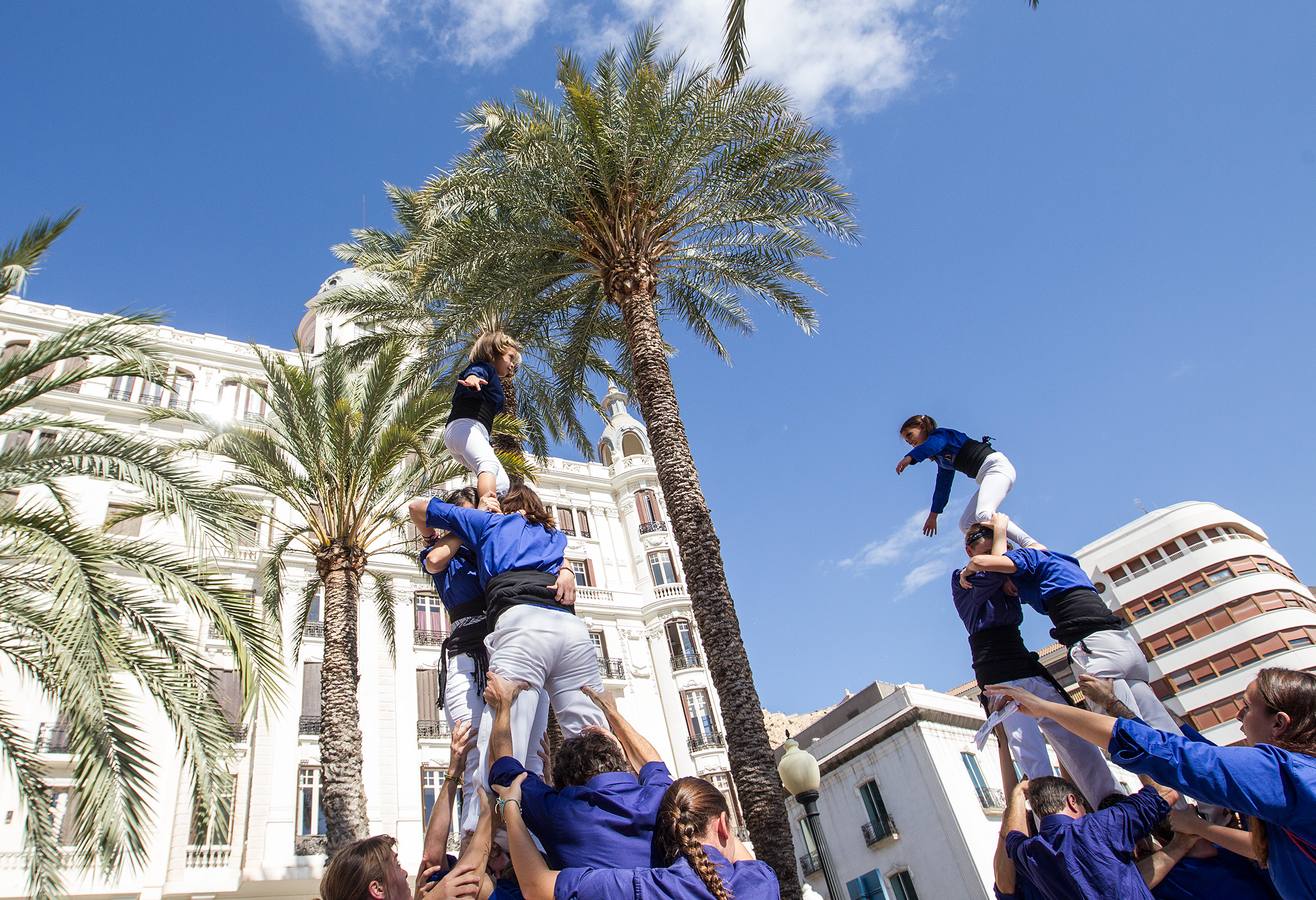 Celebración del día de la Comunitat en Alicante