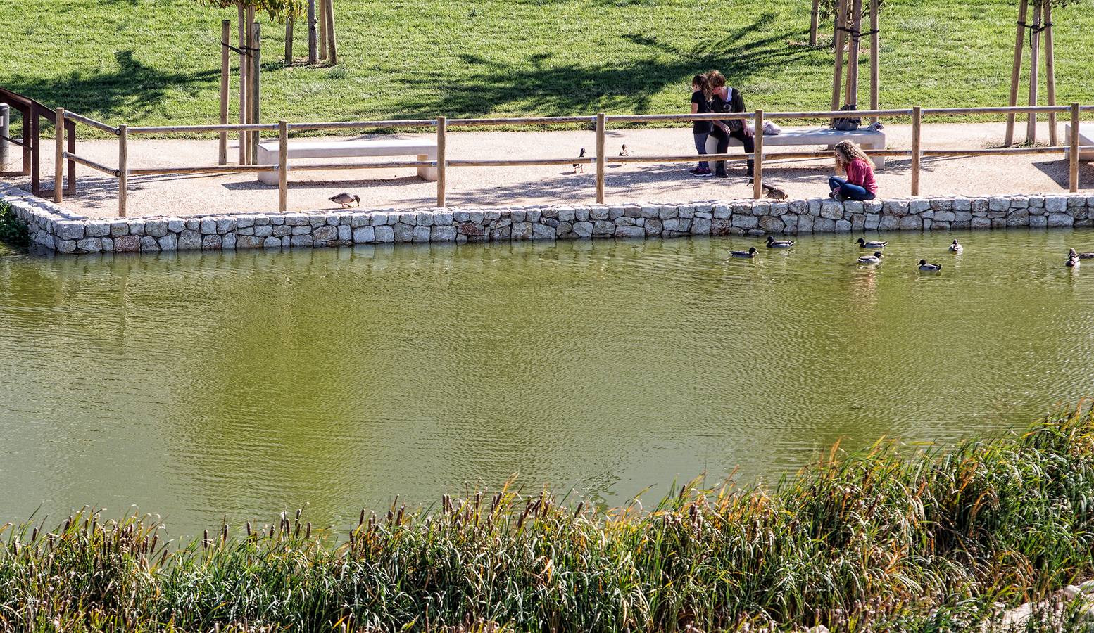 El parque de La Marjal evita nuevas inundaciones en la Playa de San Juan