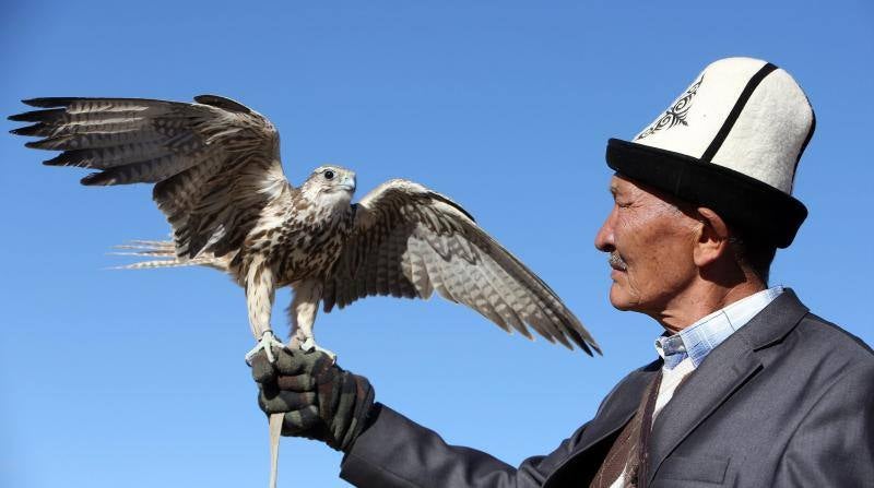 Cazador de altos vuelos