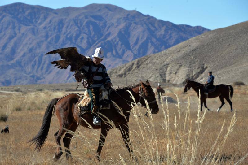 Cazador de altos vuelos