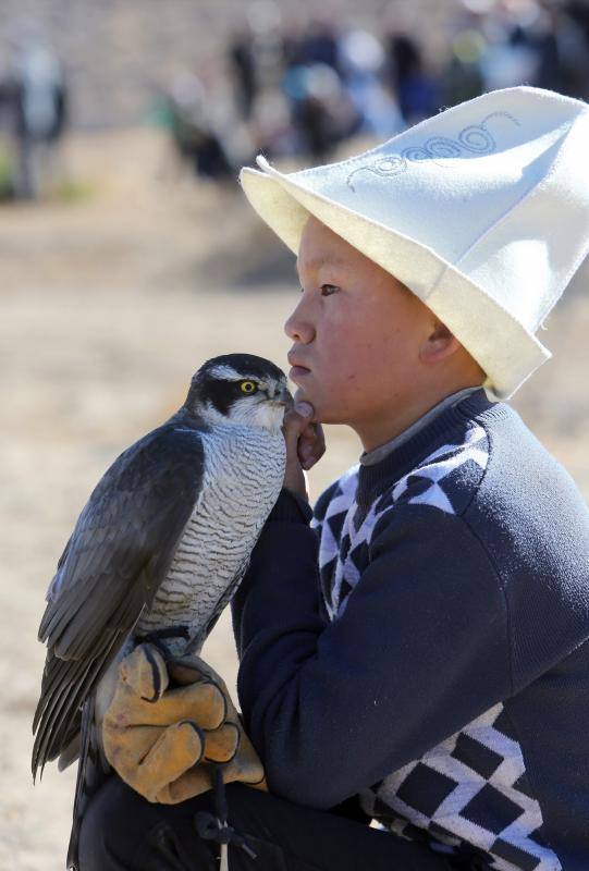 Cazador de altos vuelos