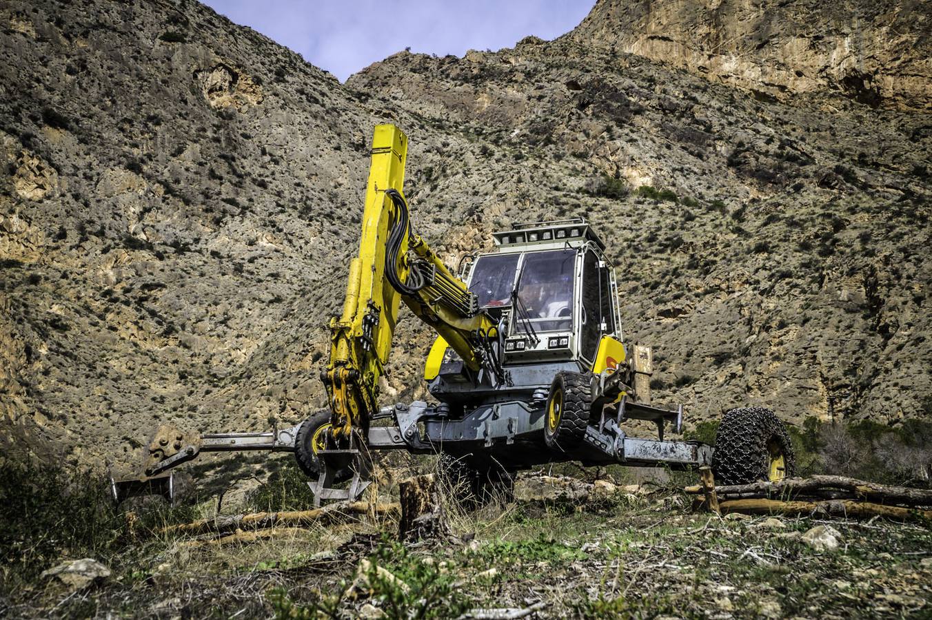 Un escavadora astillará todos los árboles arrasados por el tomicus