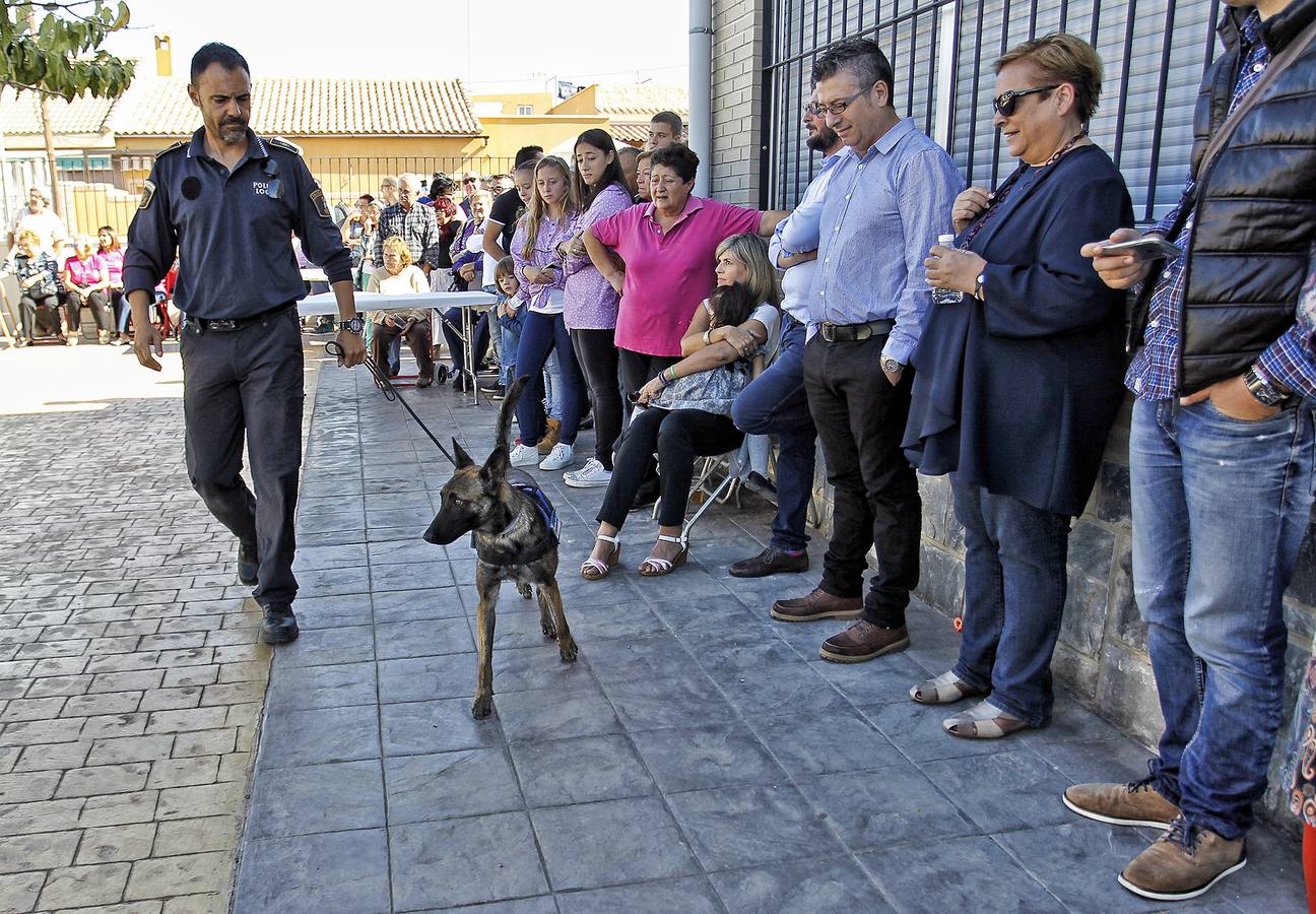 Día del vecino de Rabasa