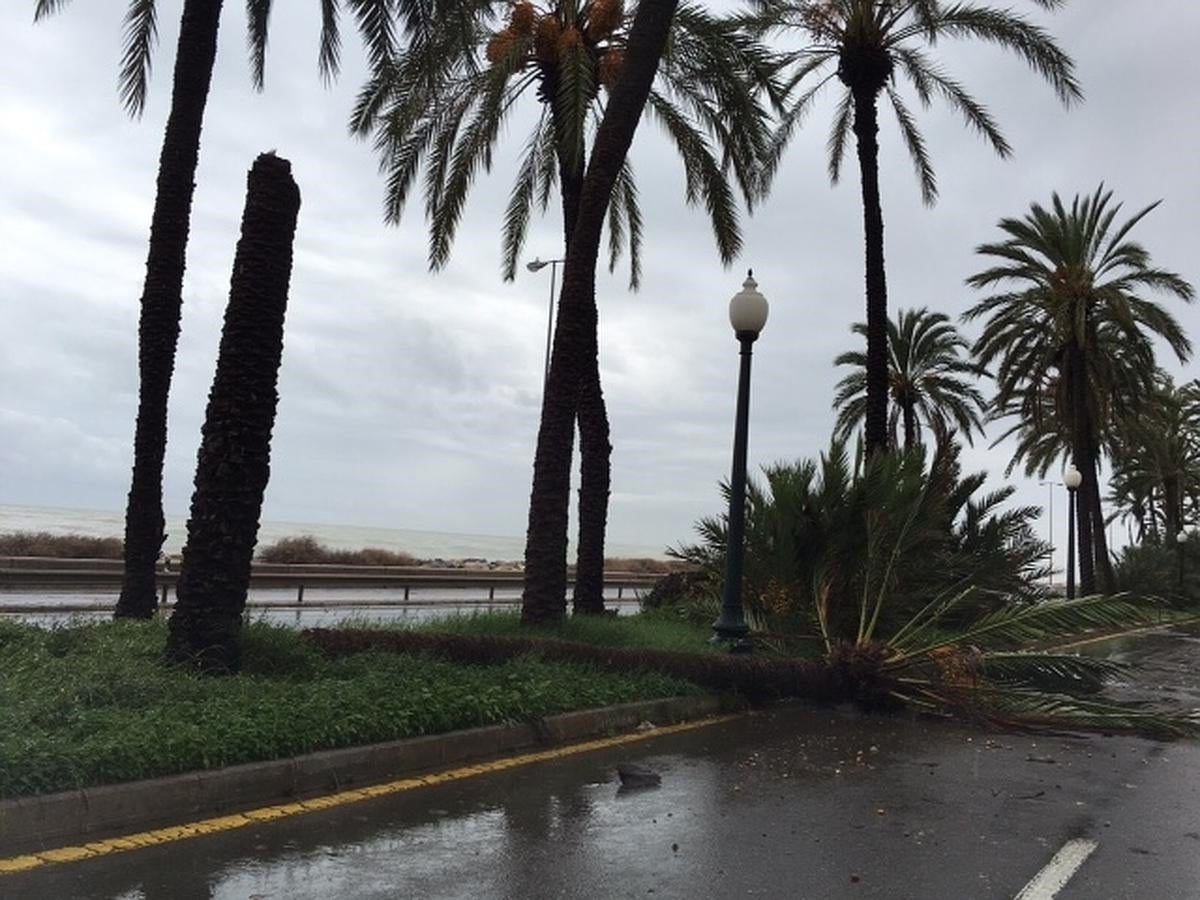 Temporal de viento y lluvia en la Comunitat