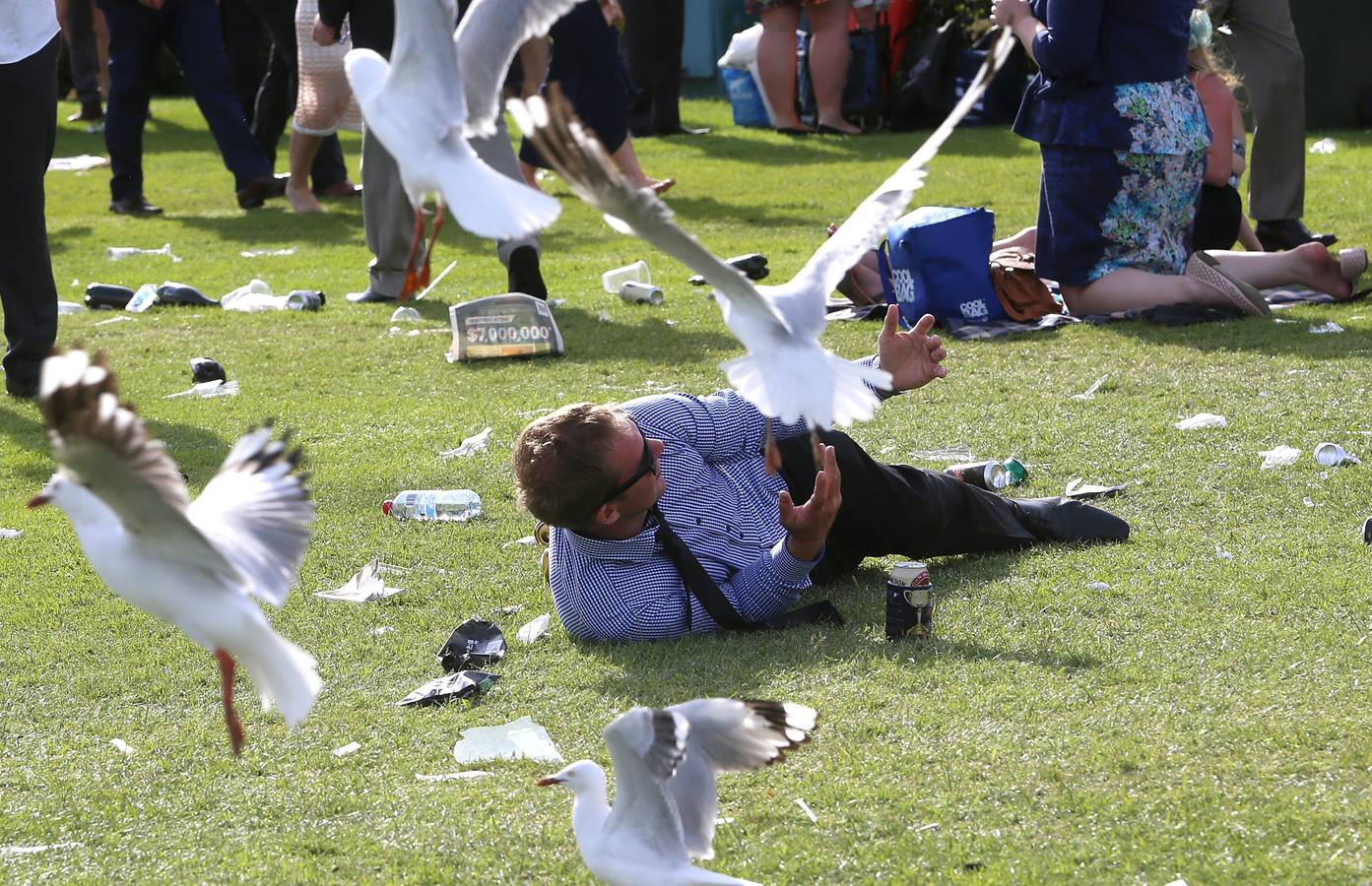 Sombreros frente a caballos