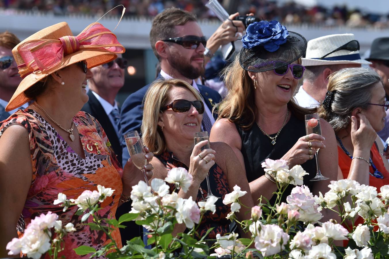 Sombreros frente a caballos